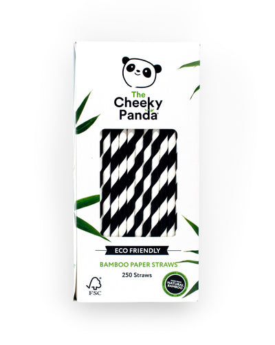 Strohhalme aus nachhaltigem Bambus | The Cheeky Panda - The Cheeky Panda DE