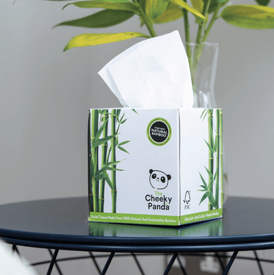 Umweltfreundliche Taschentücher im praktischen Würfel | Plastikfrei - The Cheeky Panda